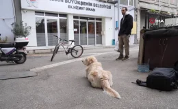 Köpeğin doktora havlaması sahibine 700 bin TL’ye patladı