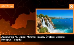 Minimal invaziv cerrahi yöntemleriyle yapılan tedaviler hastaların hayat kalitesini yükseltiyor