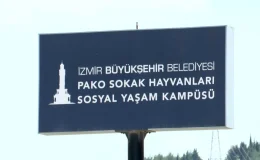 İzmir Büyükşehir Belediyesi’nden Sahipsiz Hayvanlara Destek