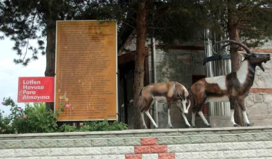 Erzincan’da Şifalı Gölün Kaynak Suyu İçiliyor