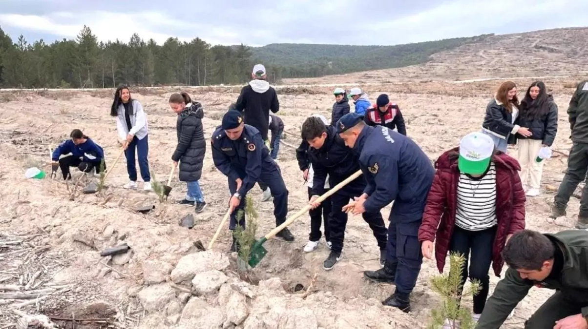 Jandarma’dan Fidan Dikme Etkinliği